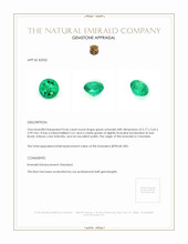 0.66 Ct. Emerald from Colombia Appraisal