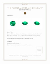 0.48 Ct. Emerald from Colombia Appraisal