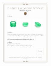 3.66 Ct. Emerald from Colombia Appraisal
