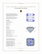 Jewelry 3 D Scan Report