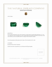 4.80 Ct. Emerald from Zambia Appraisal