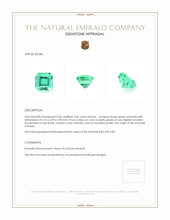 0.66 Ct. Emerald from Russia Appraisal