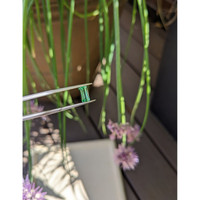 0.81 Ct. Emerald from Russia Life Style