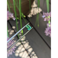 0.92 Ct. Emerald from Russia Life Style