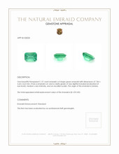 1.37 Ct. Emerald from Zambia Appraisal