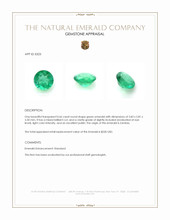 0.66 Ct. Emerald from Zambia Appraisal