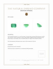 1.45 Ct. Emerald from Zambia Appraisal
