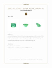 1.45 Ct. Emerald from Zambia Appraisal