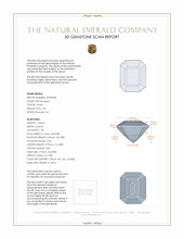 Jewelry 3 D Scan Report