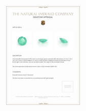 0.98 Ct. Emerald from Brazil Appraisal