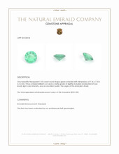 1.05 Ct. Emerald from Brazil Appraisal
