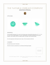1.03 Ct. Emerald from Brazil Appraisal
