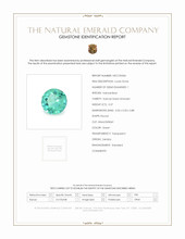 Jewelry Scan Report