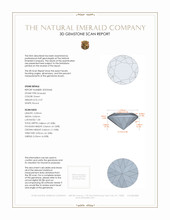 Jewelry 3 D Scan Report