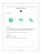 0.42 Ct. Emerald from Zambia Appraisal
