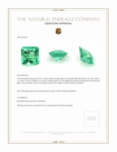 0.51 Ct. Emerald from Zambia Appraisal