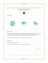 0.45 Ct. Emerald from Zambia Appraisal