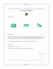 0.73 Ct. Emerald from Ethiopia Appraisal