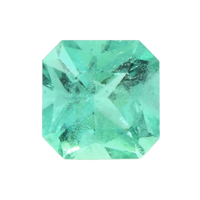 0.49 Ct. Emerald from Brazil Video