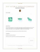 0.51 Ct. Emerald from Brazil Appraisal