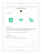0.55 Ct. Emerald from Brazil Appraisal