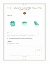 0.55 Ct. Emerald from Brazil Appraisal