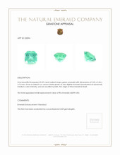 0.59 Ct. Emerald from Brazil Appraisal