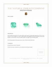 0.70 Ct. Emerald from Brazil Appraisal
