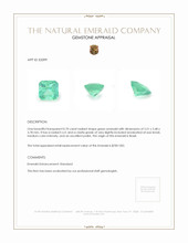 0.70 Ct. Emerald from Brazil Appraisal