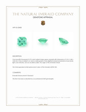 Jewelry Appraisal
