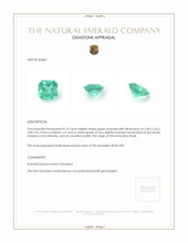 0.72 Ct. Emerald from Brazil Appraisal