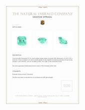 0.76 Ct. Emerald from Brazil Appraisal