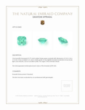 0.79 Ct. Emerald from Brazil Appraisal