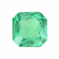 0.79 Ct. Emerald from Brazil Video