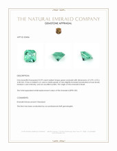 0.99 Ct. Emerald from Brazil Appraisal