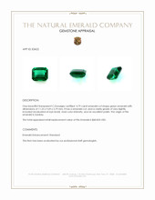 4.79 Ct. Emerald from Zambia Appraisal