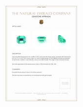 0.90 Ct. Emerald from Russia Appraisal