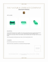 0.69 Ct. Emerald from Russia Appraisal