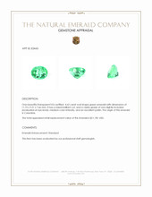 4.62 Ct. Emerald from Colombia Appraisal