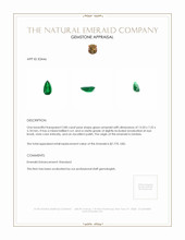 2.80 Ct. Emerald from Zambia Appraisal