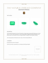 0.78 Ct. Emerald from Zambia Appraisal
