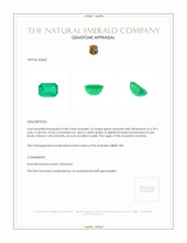 0.80 Ct. Emerald from Zambia Appraisal