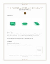 0.84 Ct. Emerald from Zambia Appraisal