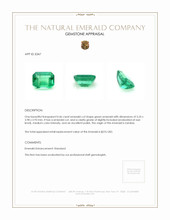 0.46 Ct. Emerald from Zambia Appraisal