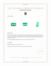 3.84 Ct. Emerald from Colombia Appraisal