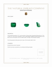 19.31 Ct. Emerald from Zambia Appraisal
