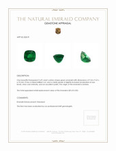 3.69 Ct. Emerald from Zambia Appraisal