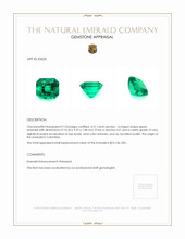 4.51 Ct. Emerald from Colombia Appraisal