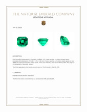 4.51 Ct. Emerald from Colombia - Muzo Appraisal