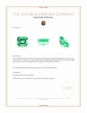 0.84 Ct. Emerald from Zambia Appraisal